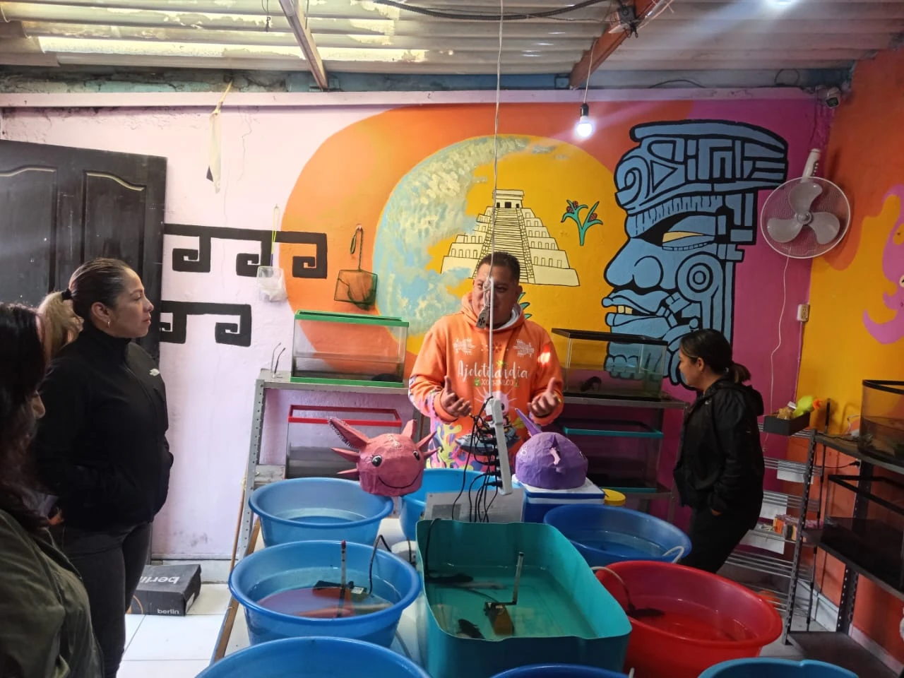 Recorrido guiado dentro del ajolotario con murales de colores