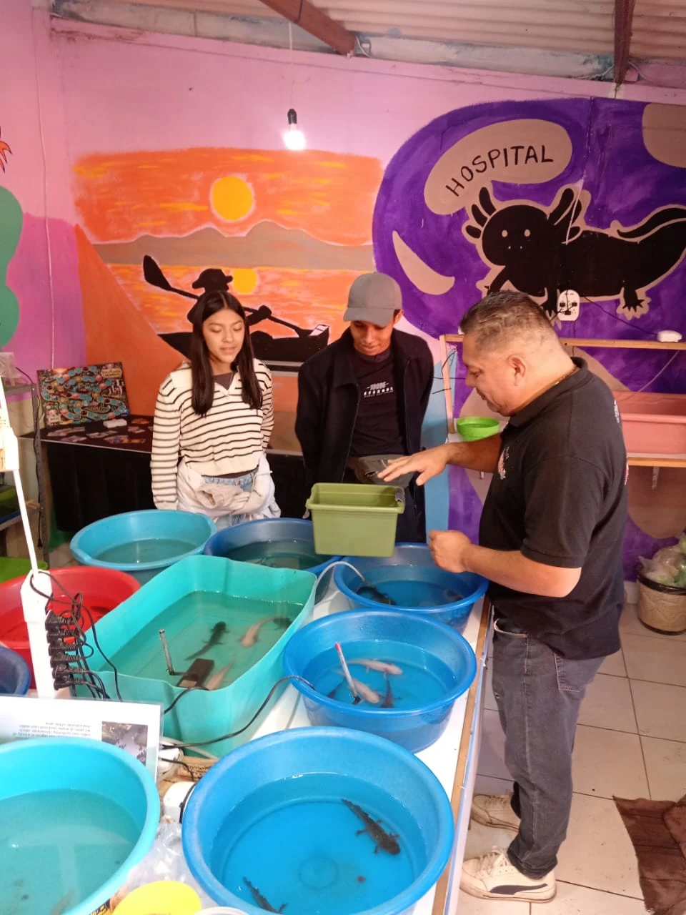 Guía y visitantes observan a los ajolotes en las tinas