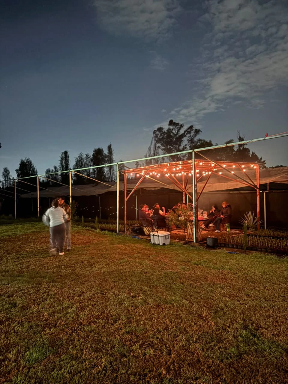 Área de campamento y pérgola iluminada al anochecer