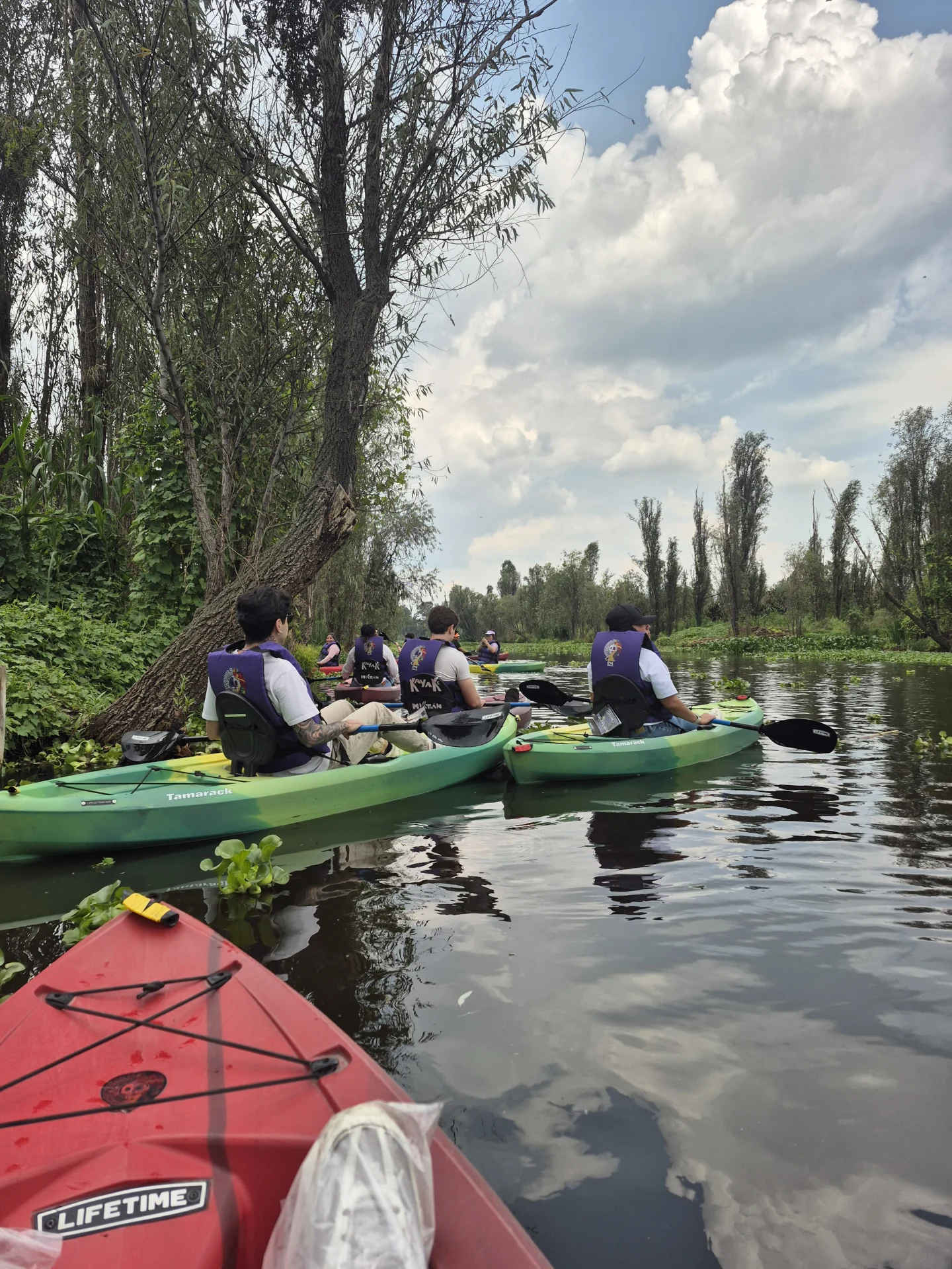 Foto de la experiencia de Jaquelin Gonzalez