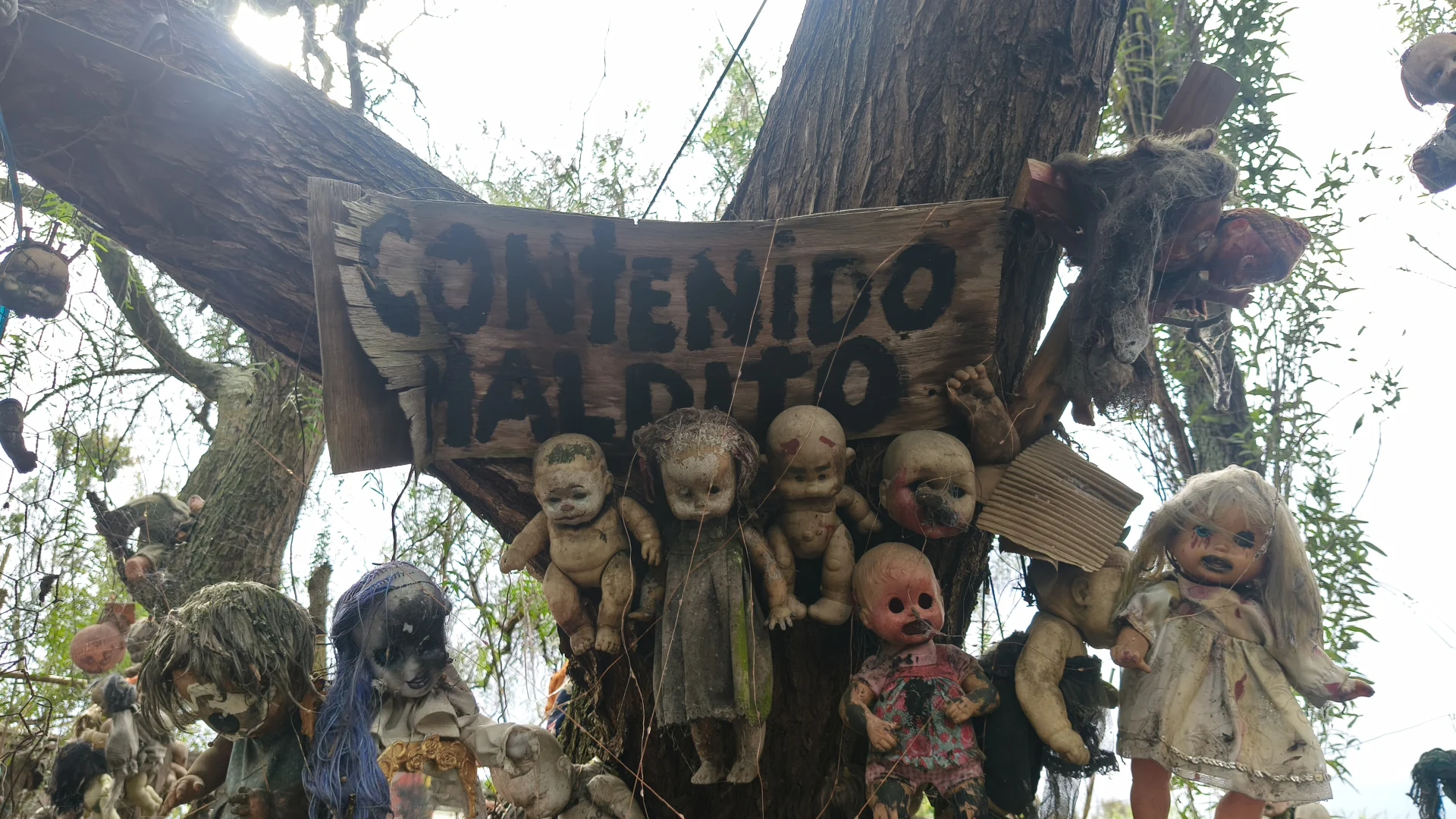 Foto de la experiencia de Pepe de Salazar