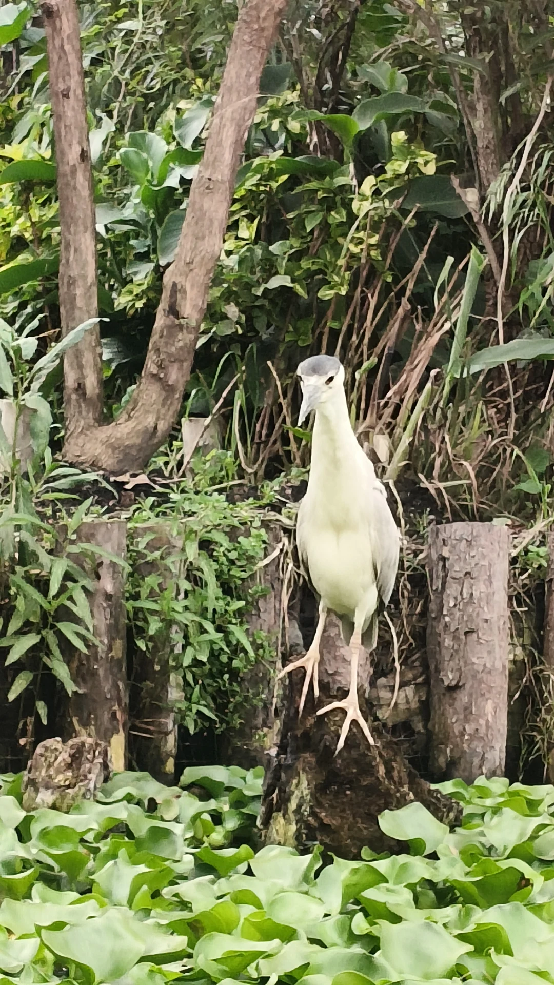 Foto de la experiencia de Pepe de Salazar